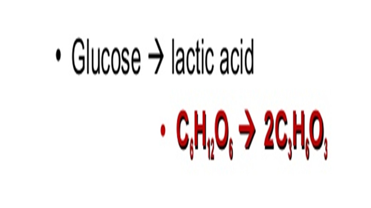 neat-symbol-equation-for-anaerobic-respiration-in-plants-what-are-the